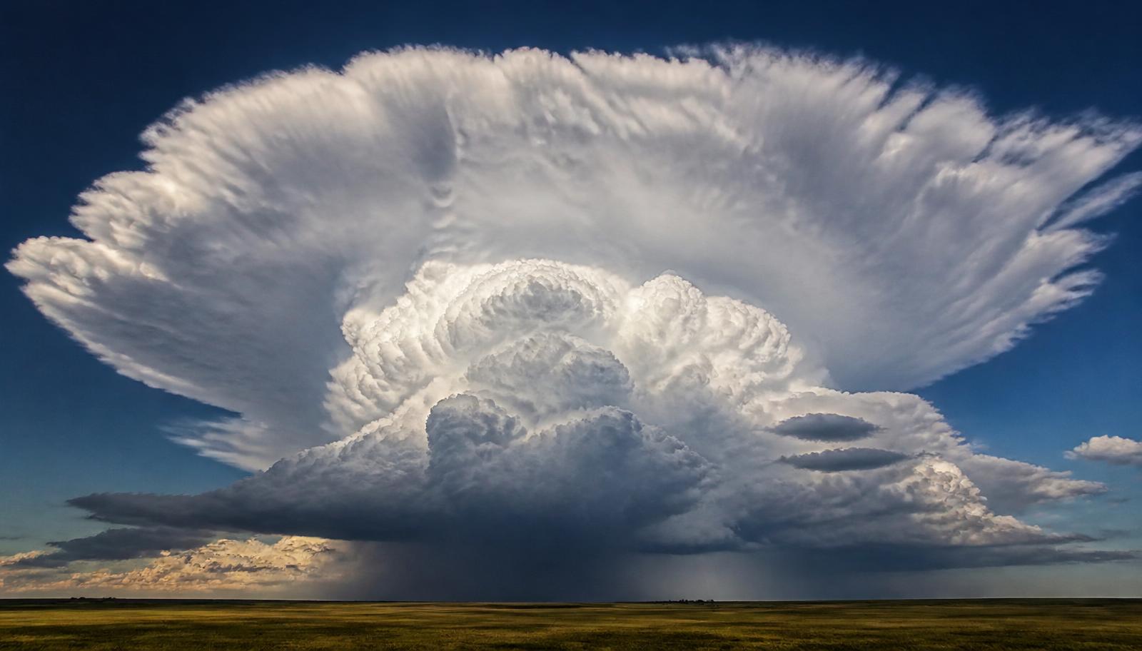 Towering cumulonimbus cloud with a broad anvil spreading across a deep blue sky above a flat rural horizon