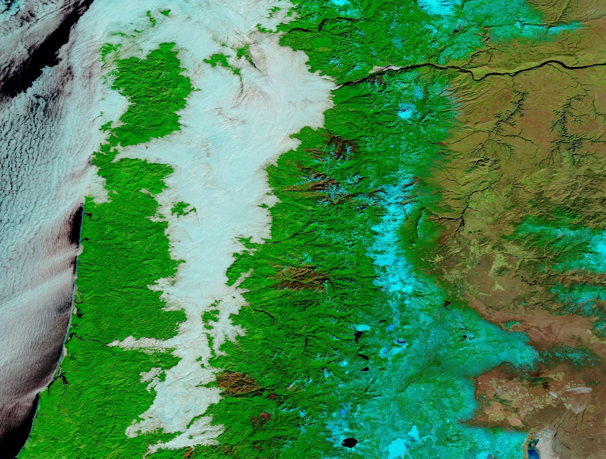 How does freezing fog form in an Oregon valley, showing a thick layer of white mist settled between dark pine hills.