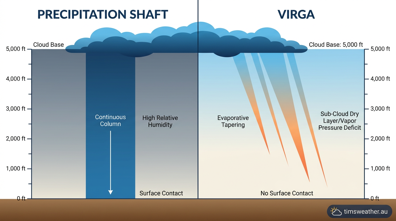Comparison between a heavy rain shaft reaching the ground and evaporating streaks ending mid-air.