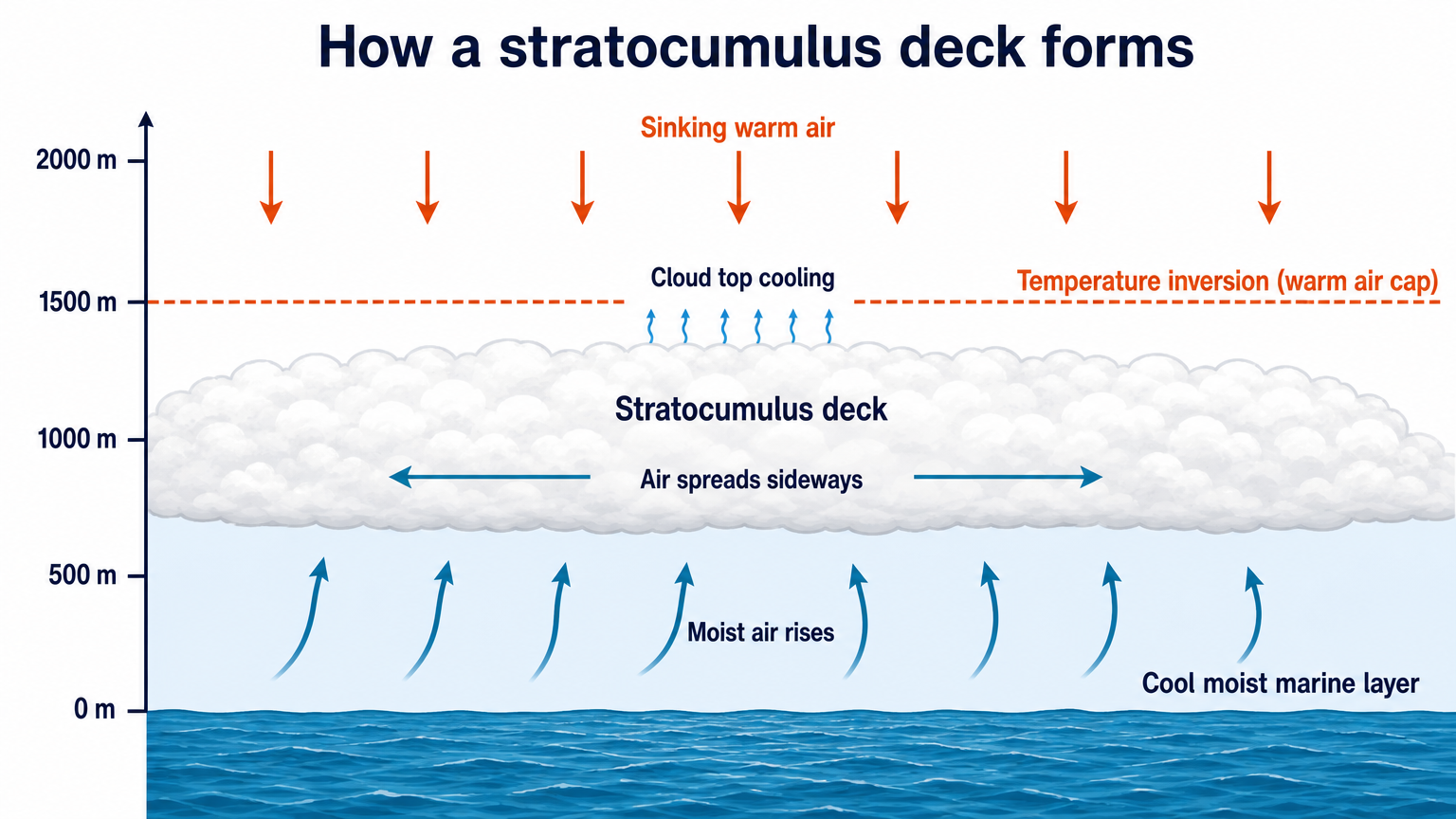 Cross-section diagram showing moist air rising from the ocean, spreading sideways under a temperature inversion to form a stratocumulus deck between about 500 and 1500 metres.