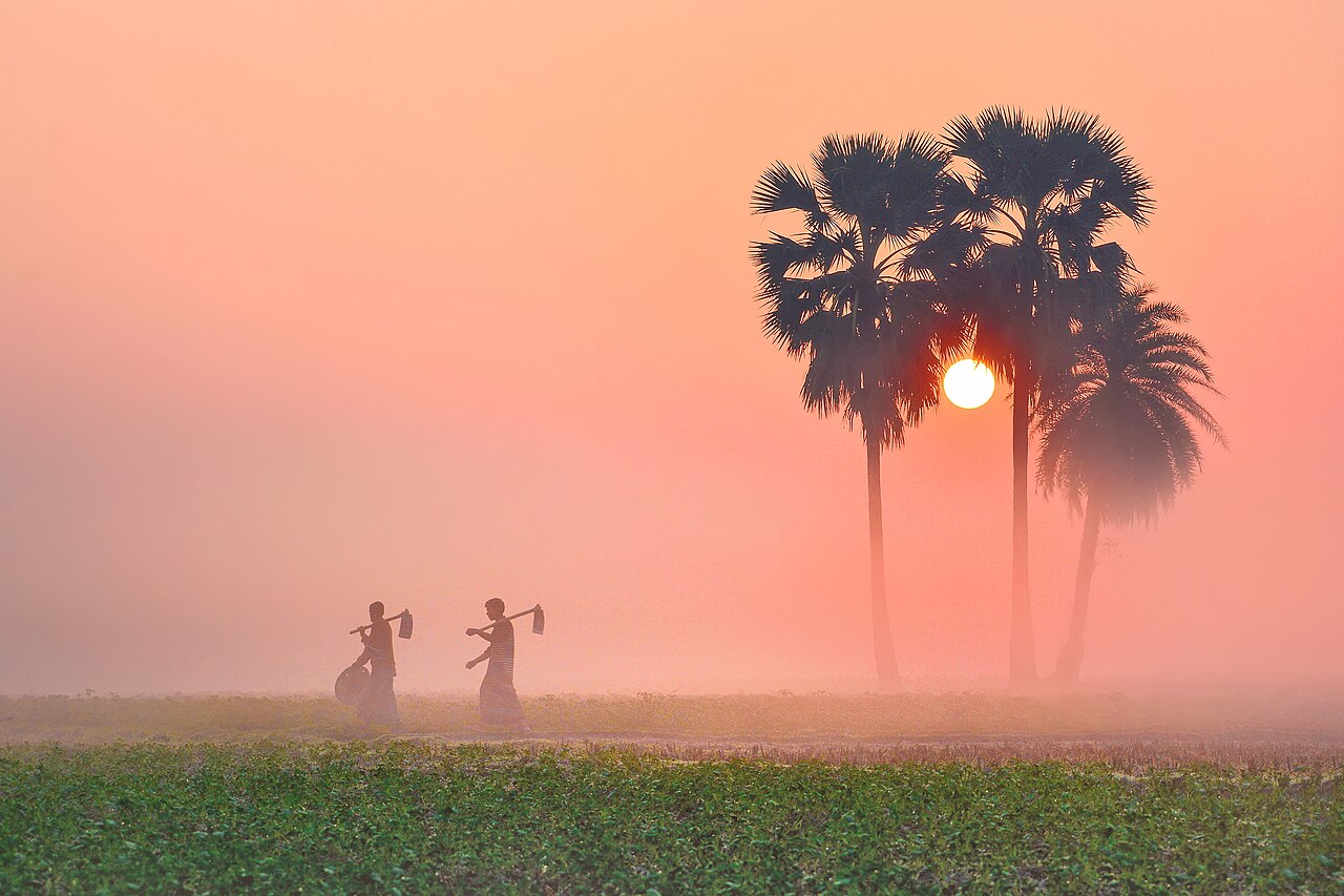 How does radiation fog form over a grassy valley at dawn as thick white mist settles under a clear morning sky.