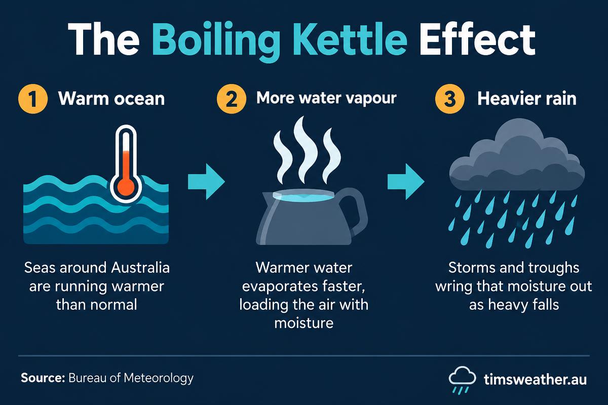 Infographic of the boiling kettle effect: warm ocean water adds vapour that becomes heavier rain over land