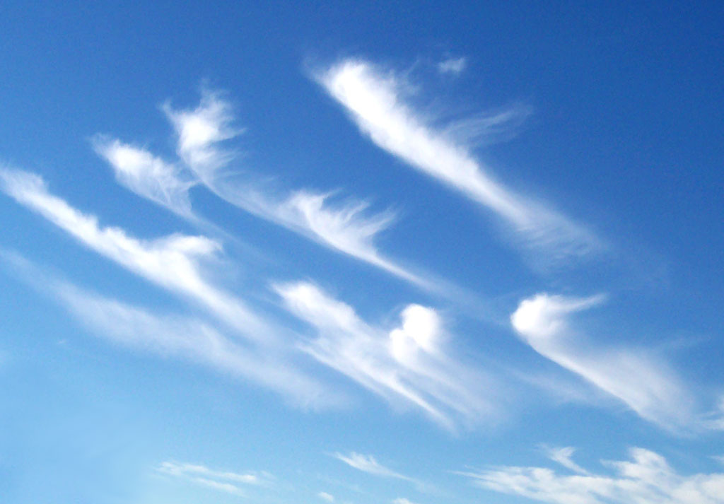 Cirrus uncinus mares-tail clouds streaking high across a blue sky Cirrus uncinus mares-tail clouds streaking high across a blue sky