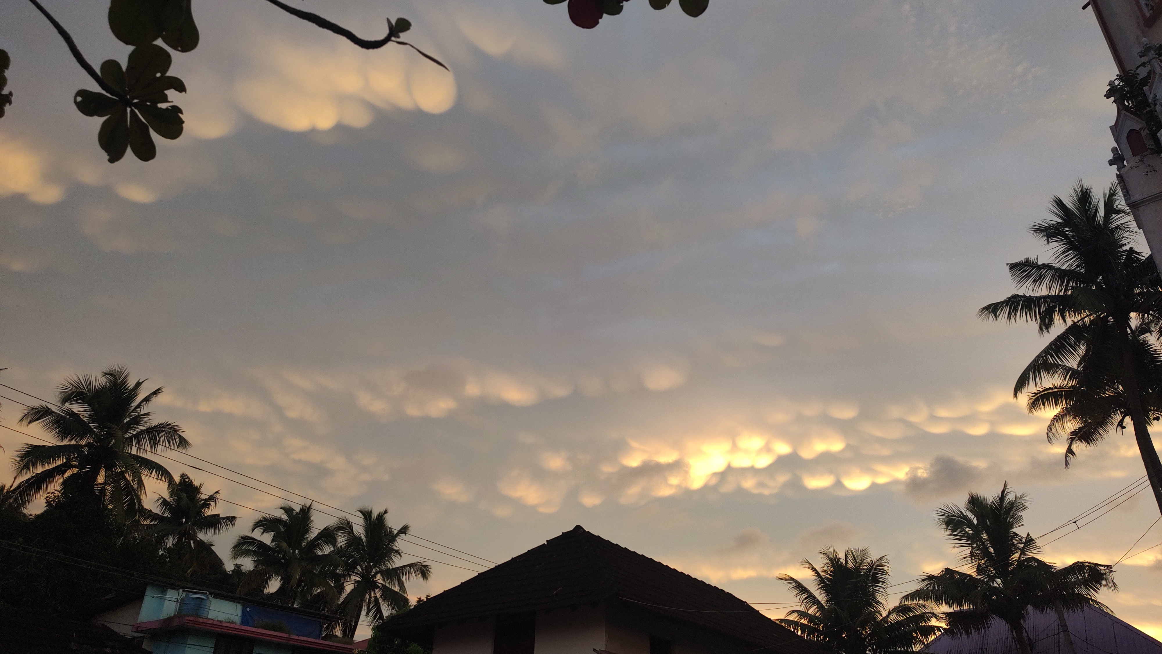Mammatus clouds with pouch-like sagging lobes beneath a thunderstorm anvil Mammatus clouds with pouch-like sagging lobes beneath a thunderstorm anvil