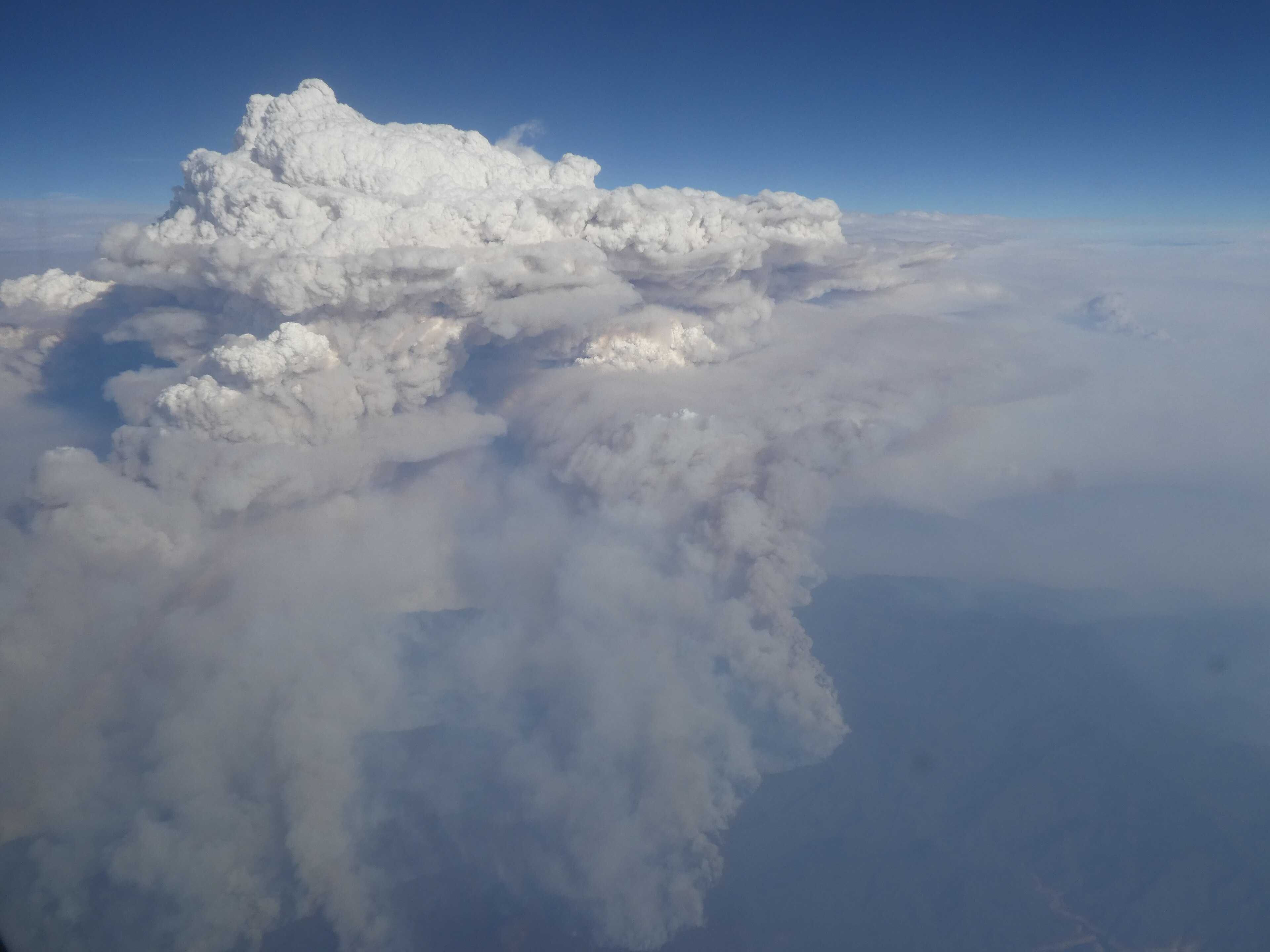 Pyrocumulonimbus cloud towering above a bushfire in Victoria, Australia Pyrocumulonimbus cloud towering above a bushfire in Victoria, Australia