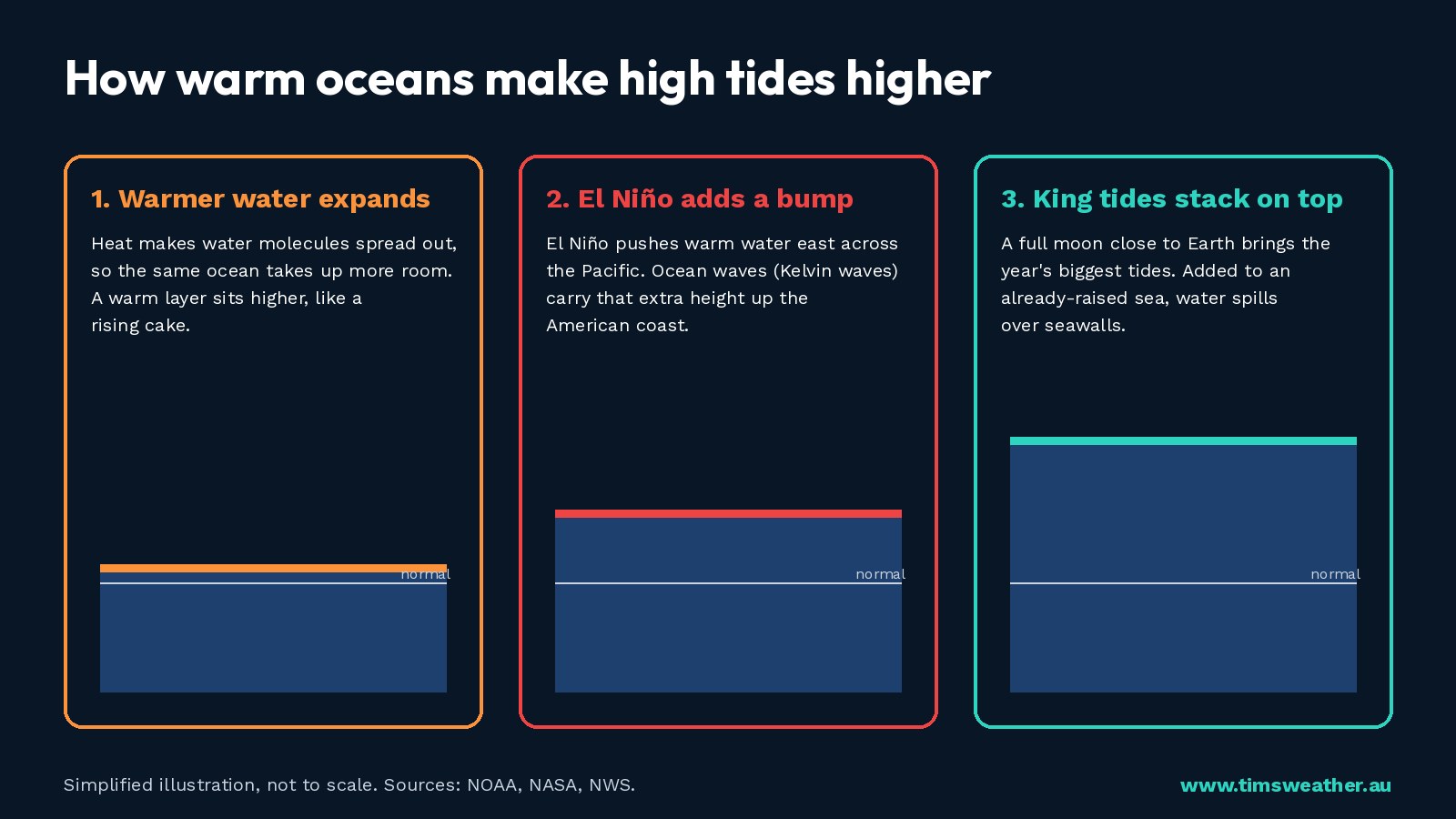Three-panel explainer: warm water expands, El Niño adds a sea-level bump, and king tides stack on top