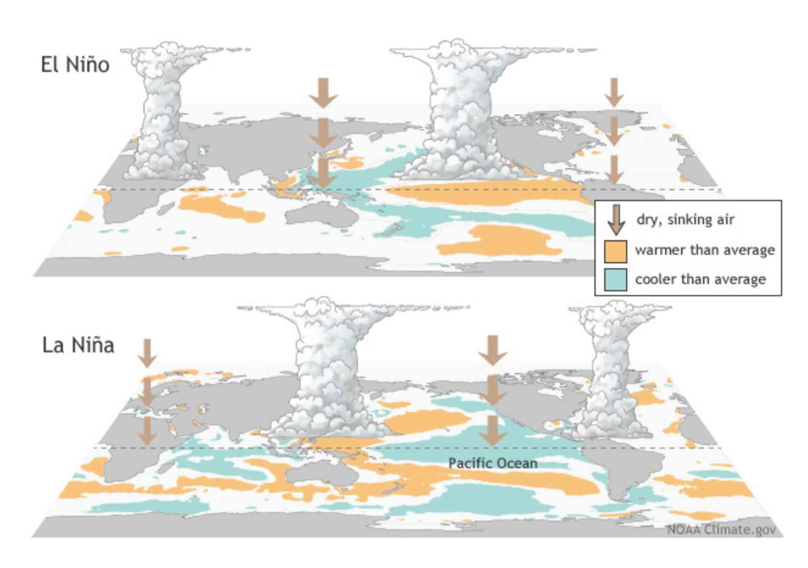 Global maps illustrating El Niño and La Niña, showing cooler Pacific waters and atmospheric circulation patterns.