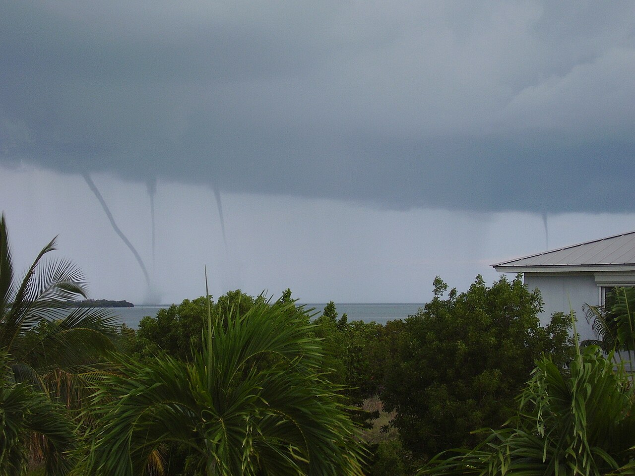 Multiple waterspouts forming over the ocean under a dark, stormy sky, illustrating meteorological phenomena. Multiple waterspouts forming over the ocean under a dark, stormy sky, illustrating meteorological phenomena.