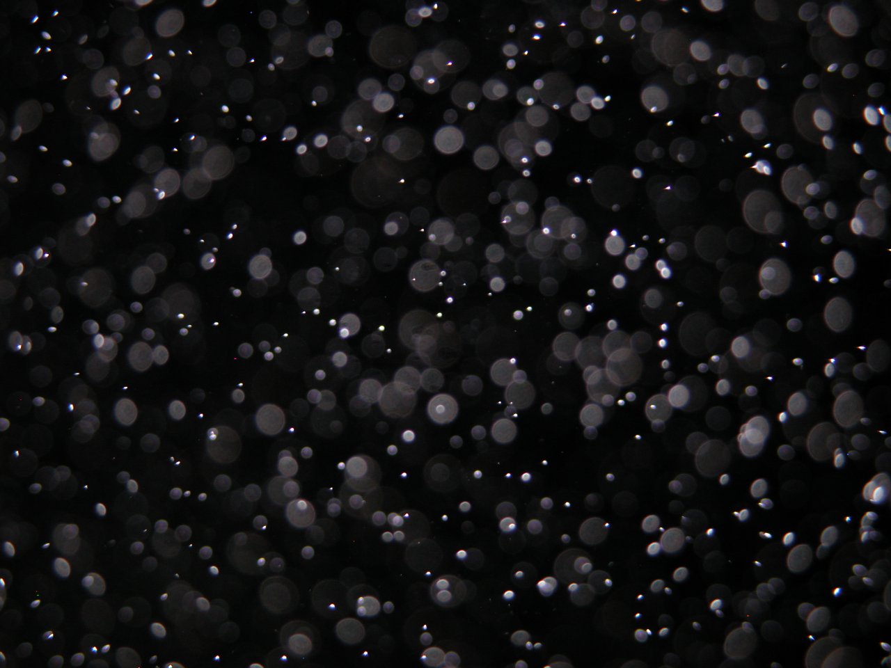A close-up view of water droplets forming fog. Those outside the camera lens's depth of field appear as orbs. A close-up view of water droplets forming fog. Those outside the camera lens's depth of field appear as orbs.