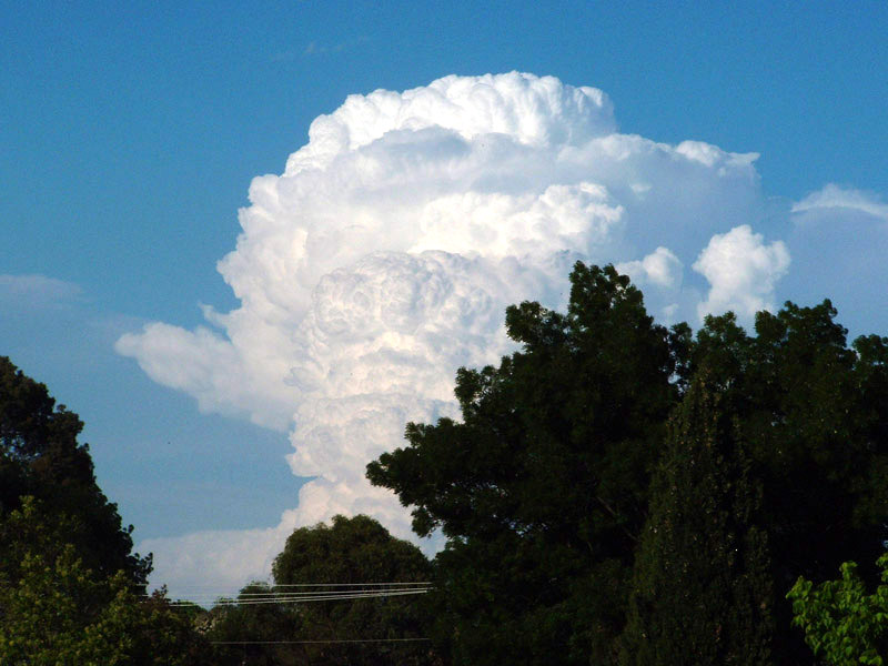 Towering cumulonimbus cloud, a sign of severe weather, rising above trees against a blue sky, showing cloud formation. Towering cumulonimbus cloud, a sign of severe weather, rising above trees against a blue sky, showing cloud formation.